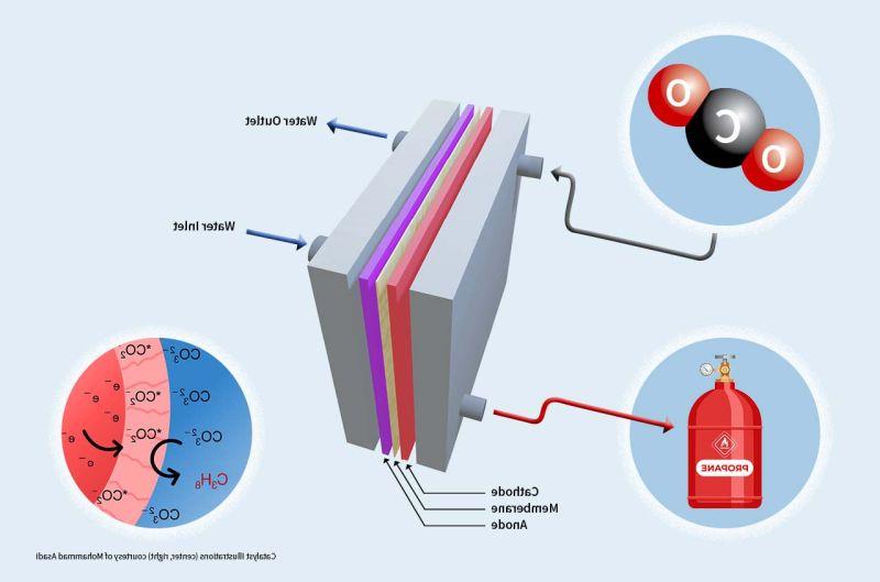 Illustrat离子 of 穆罕默德Asadi's research